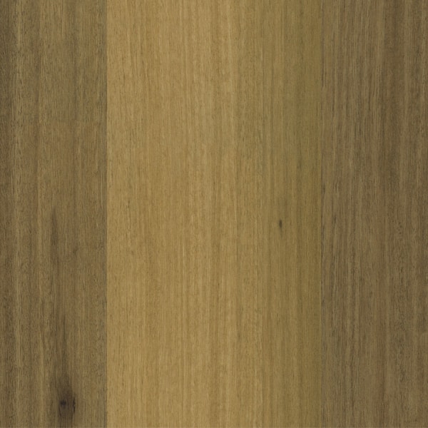 556 Classic Spotted Gum