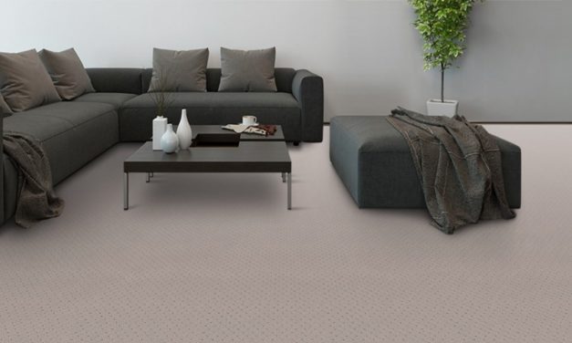 Eco+ Pinehirst Carpet