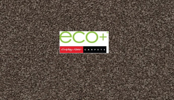 Eco+ Triexta Soft Haze II Carpet