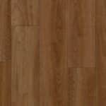 Pacific Spotted Gum