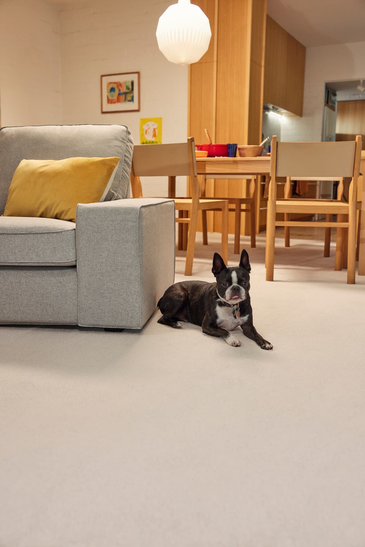 Pet-Friendly Flooring